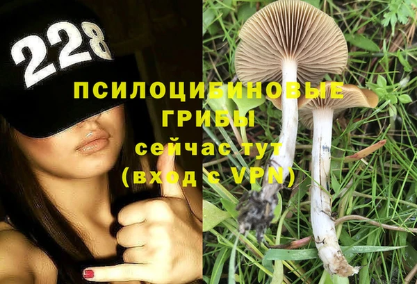 ГАЛЛЮЦИНОГЕННЫЕ ГРИБЫ Покачи