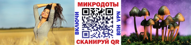 Галлюциногенные грибы Psilocybine cubensis  Истра 